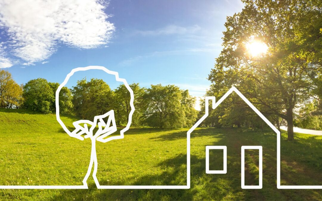 Grundstück vorübergehend vermieten: Warum du IndiViva bei der Nutzung mit Tiny Houses einbeziehen solltest