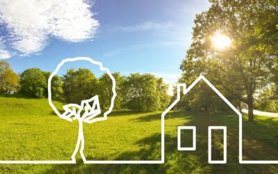 Grundstück vorübergehend vermieten: Warum du IndiViva bei der Nutzung mit Tiny Houses einbeziehen solltest