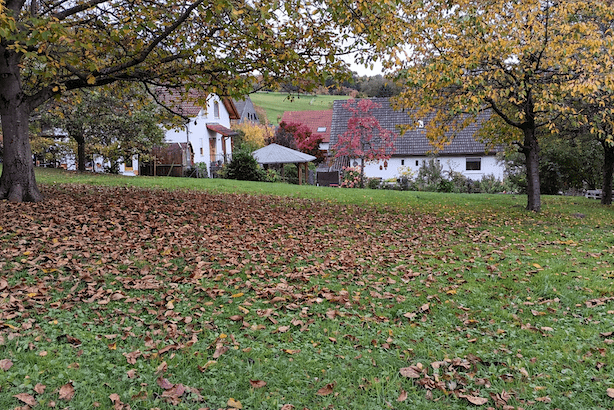 Drei naturnahe Grundstücksparzellen auf Baugrundstück für Tiny-Houses zu vermieten
